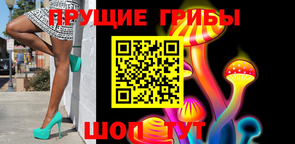 Псилоцибиновые грибы Psilocybe  Вход с VPN  Баксан  Псилоцибиновые грибы Cubensis 